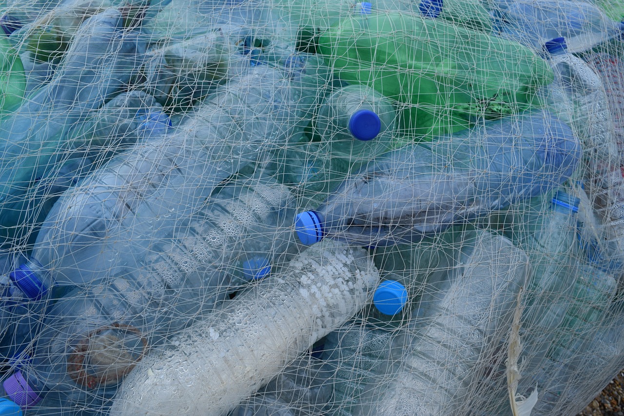塑膠微粒恐攜帶海洋汙染進入食物鏈